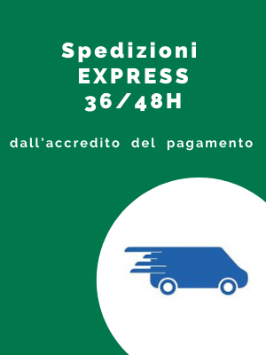 Spedizioni express